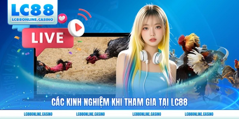 Các kinh nghiệm khi tham gia tại LC88